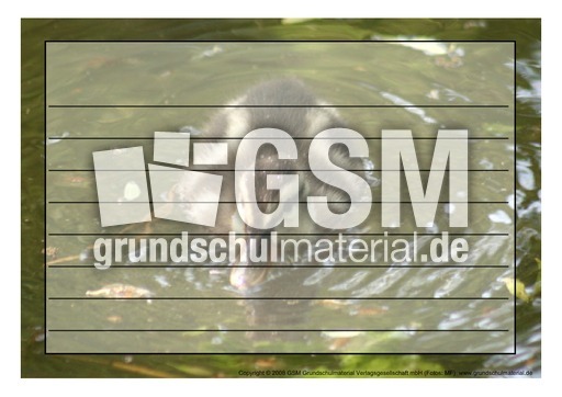 Schmuckrahmen-Stockente-Küken-1.pdf